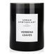 Ароматическая свеча с цитрусовым ароматом Urban apothecary Verbena leaves 300 г