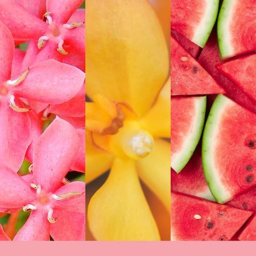 Корпоративный подарок - Подарочный набор из 3 свечей Mini Pink Sands Yankee Candle