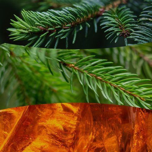 Ароматическая свеча с ароматом свежесрезанной ели Woodwick Medium Fraser Fir 275г