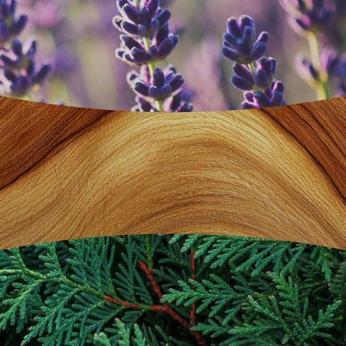 Ароматична свічка з ароматом лаванди та кедра Woodwick Ellipse Lavender & Cedar 453 г