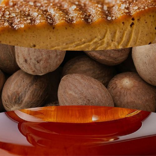 Ароматическая свеча с нотами тыквы и специй Woodwick Ellipse Pumpkin Praline 453 г