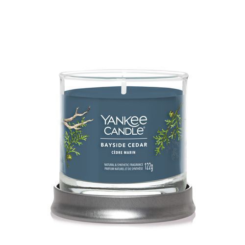 Корпоративный подарок - Ароматическая свеча Bayside Cedar Small Yankee Candle