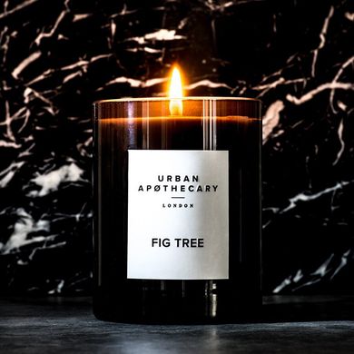 Ароматическая свеча с фруктово-цветочным ароматом и древесными нотами Urban apothecary Fig Tree 300 г