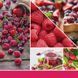 Ароматическая свеча Red Raspberry Mini Yankee Candle