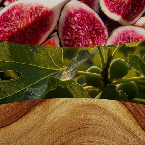 Ароматическая свеча с ароматом инжира и керда Woodwick Ellipse Verdant Fig 453 г