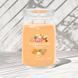 Ароматична свічка Mango Ice Cream Large Yankee Candle