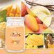 Ароматична свічка Mango Ice Cream Large Yankee Candle