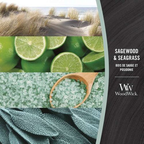 Ароматическая свеча с нотами шалфея, океана и кедра Woodwick Ellipse Sagewood & Seagrass 453 г
