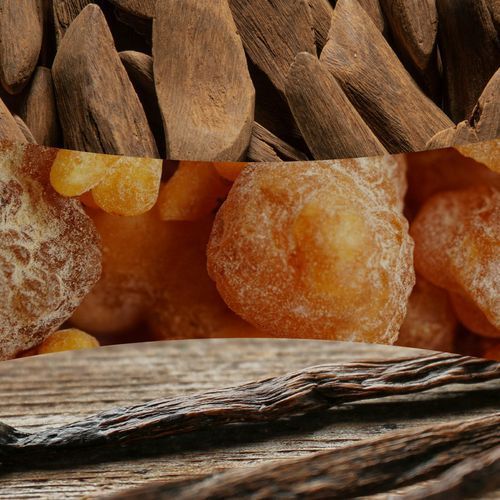 Ароматическая свеча с нотами красного дерева и свежего эвкалипта Woodwick Mini Santal Myrrh 85 г