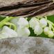 Ароматическая свеча с ароматом ванили и морской соли Woodwick Medium Vanilla & Sea Salt 275 г